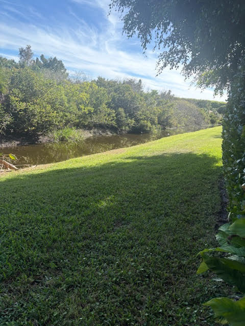 BUENA VIDA - Residential