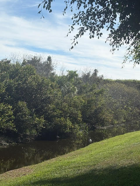 BUENA VIDA - Residential