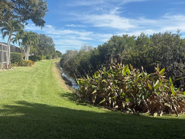 BUENA VIDA - Residential