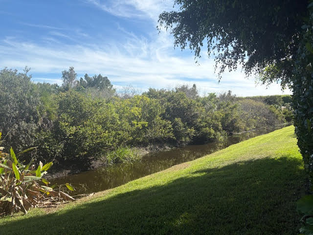 BUENA VIDA - Residential