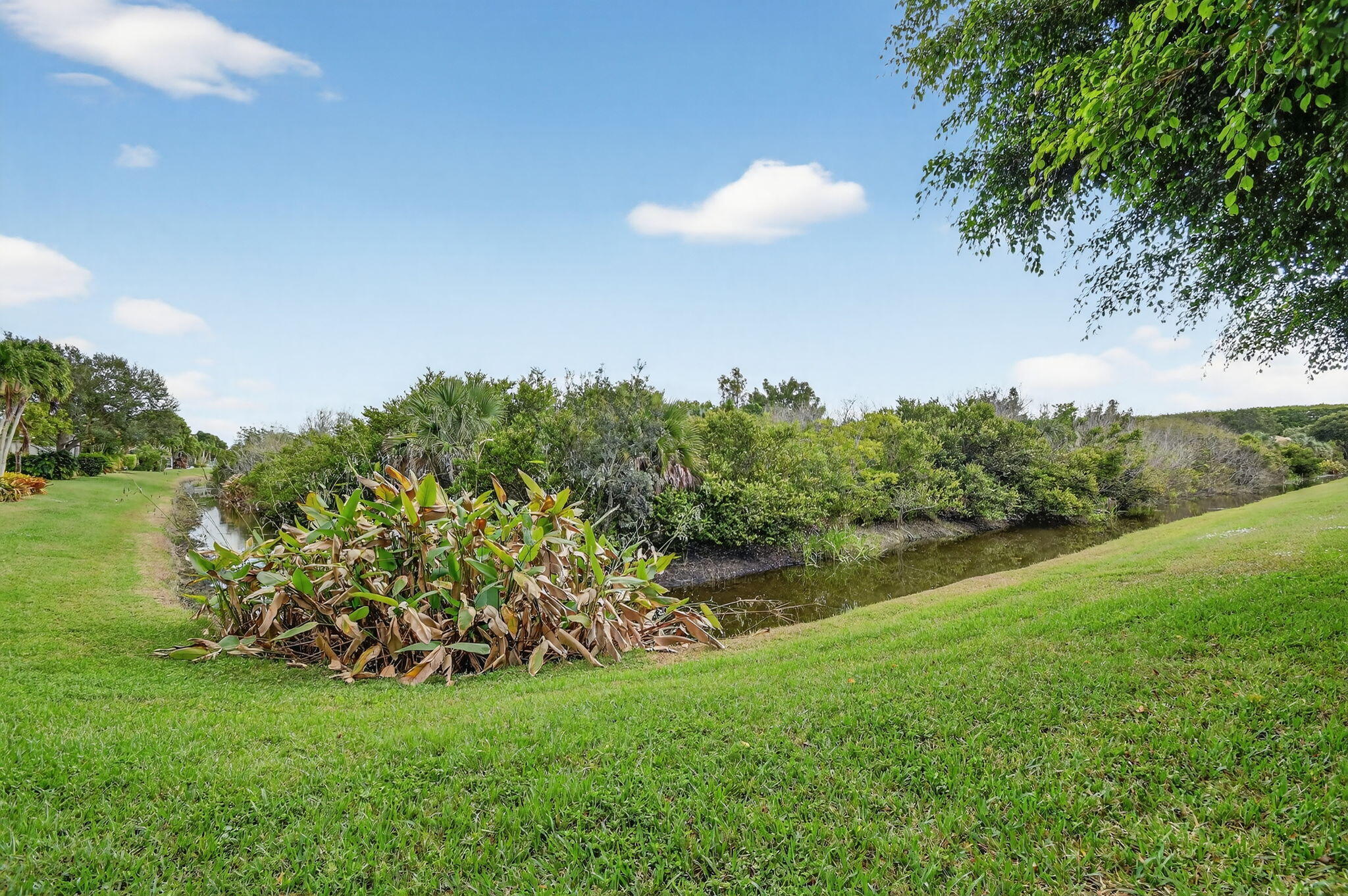 BUENA VIDA - Residential
