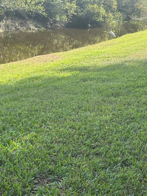 BUENA VIDA - Residential