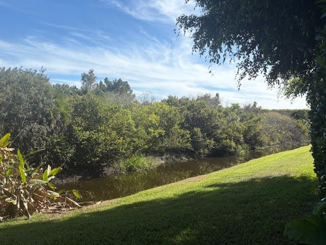 BUENA VIDA - Residential