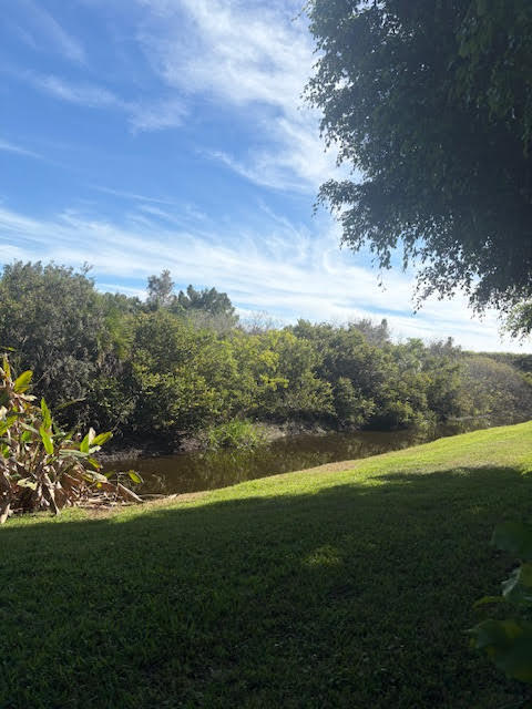 BUENA VIDA - Residential