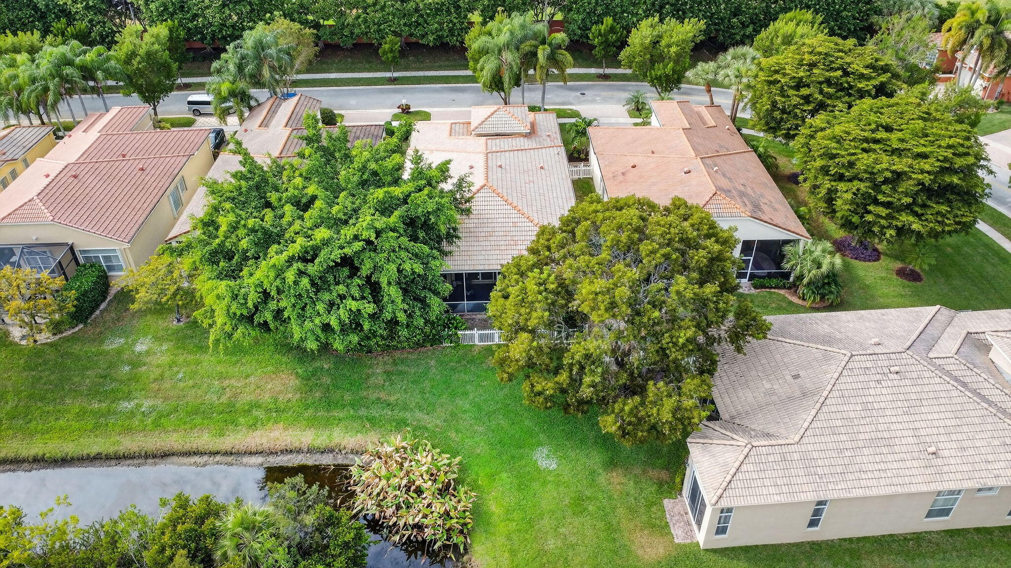 BUENA VIDA - Residential