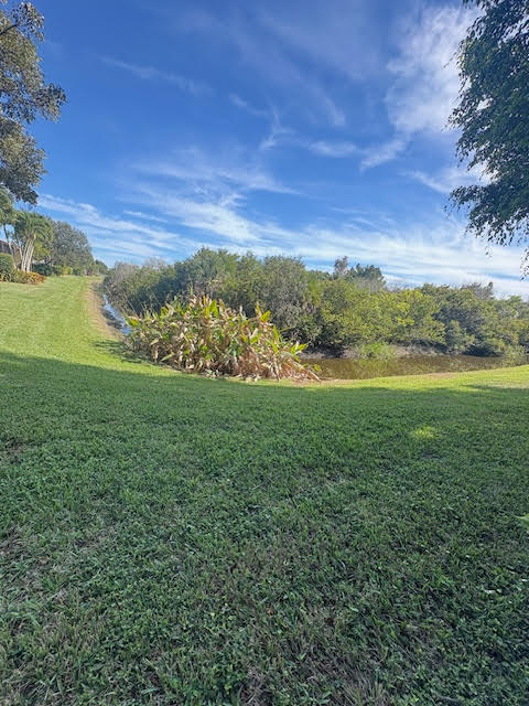 BUENA VIDA - Residential
