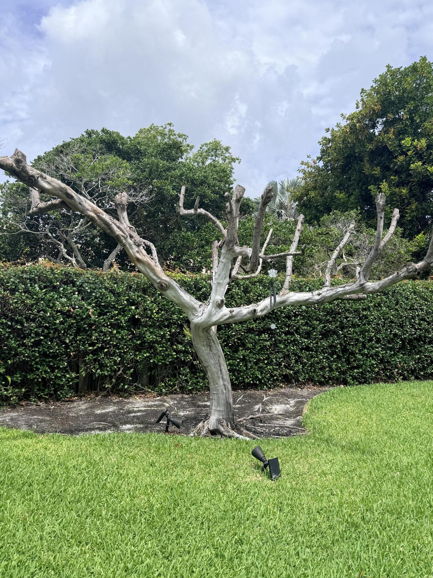 BOCA MADERA UNIT 1 - Residential Lease