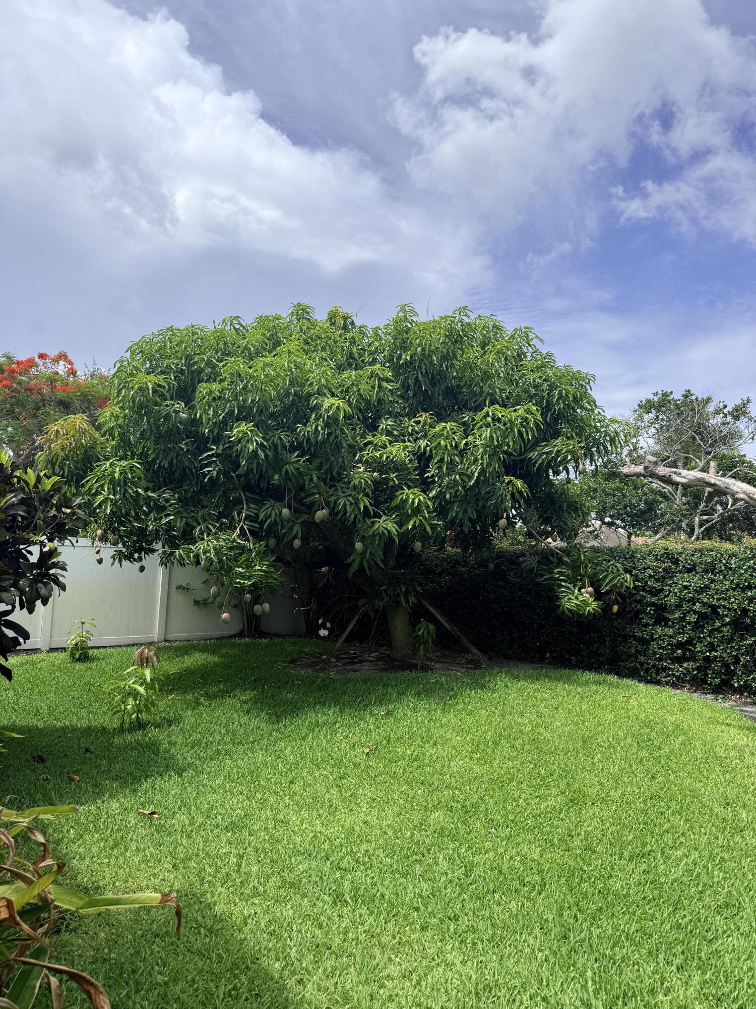 BOCA MADERA UNIT 1 - Residential Lease