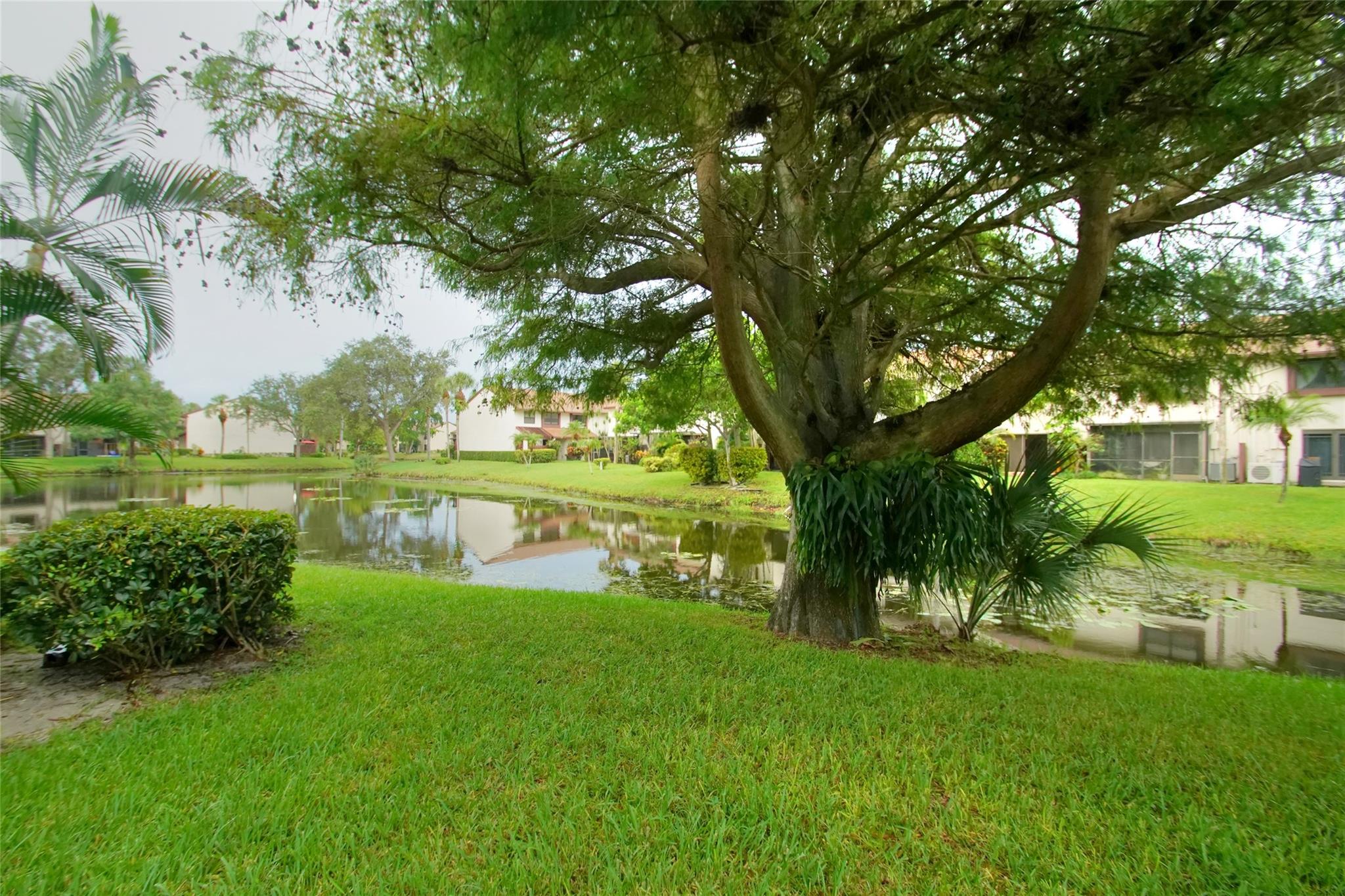 Golden Raintree V - Residential