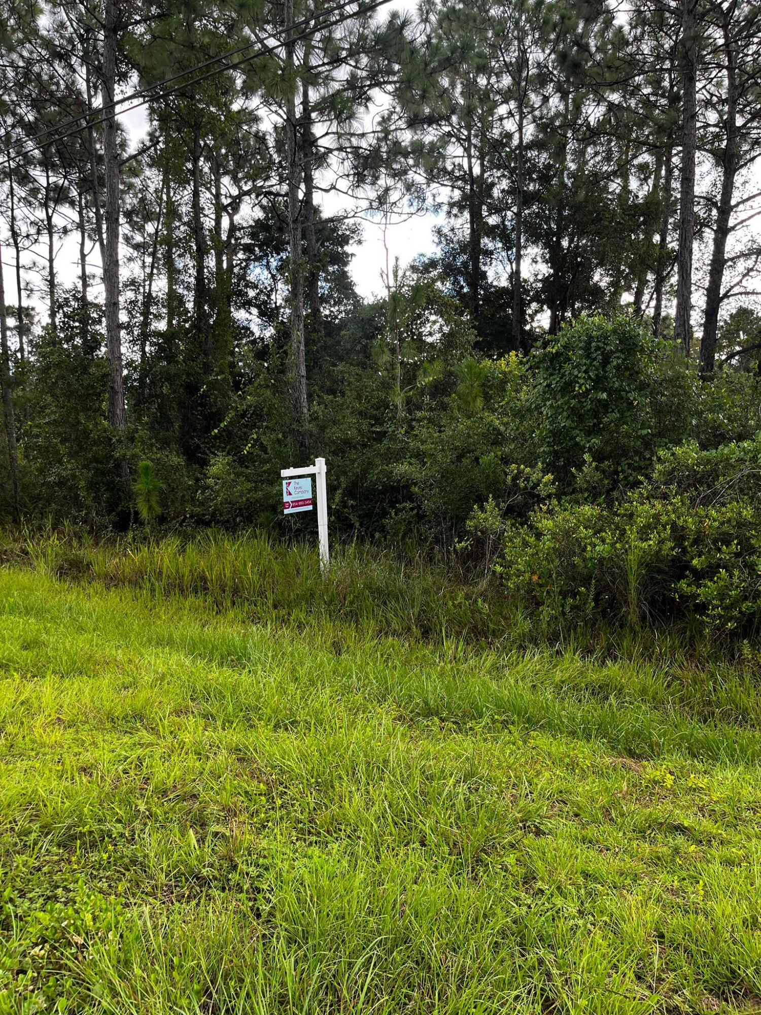 Experience the exclusive area of Wedgefield. Build Your Dream Home or Investment Property ÃƒÂ¢Ã¢â€šÂ¬Ã¢â‚¬Å“ Prime Vacant Lot in Orlando!    Discover a rare opportunity to own a spacious vacant lot in a desirable residential area of Orange County, FL. Whether you're planning to build your forever home, a custom estate, or a long-term investment, this parcel offers incredible potential. Nestled in a peaceful setting yet just minutes from major roads, shopping, dining, and top-rated schools. Only minutes away from the Airport and Parks. The property is zoned for residential use and surrounded by established homes and open land, offering flexibility for a variety of uses.  Buyer to verify all details, including utilities, zoning, and buildable. Property is located next to 24068 Sabal St. Orla