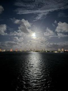 LAKE HARBOUR TOWERS CONDO - Residential
