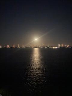 LAKE HARBOUR TOWERS CONDO - Residential
