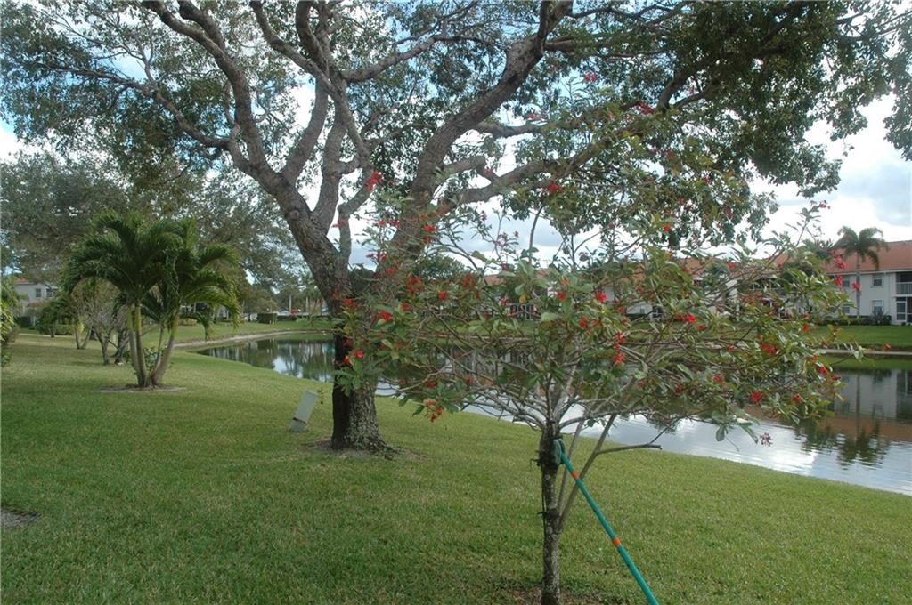 Palm Isles I,II and III - Residential