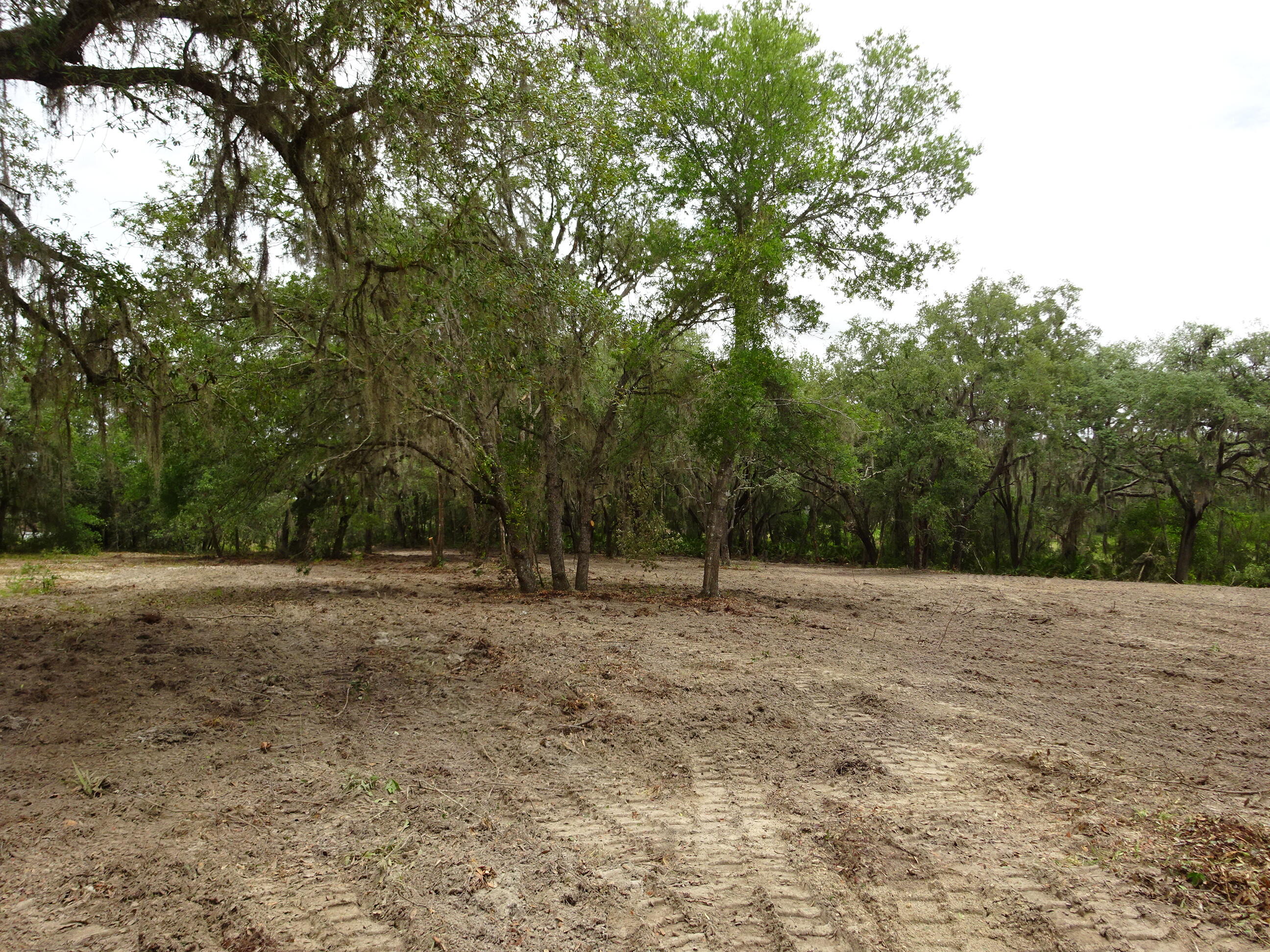Rainbow Lakes Estates - Land