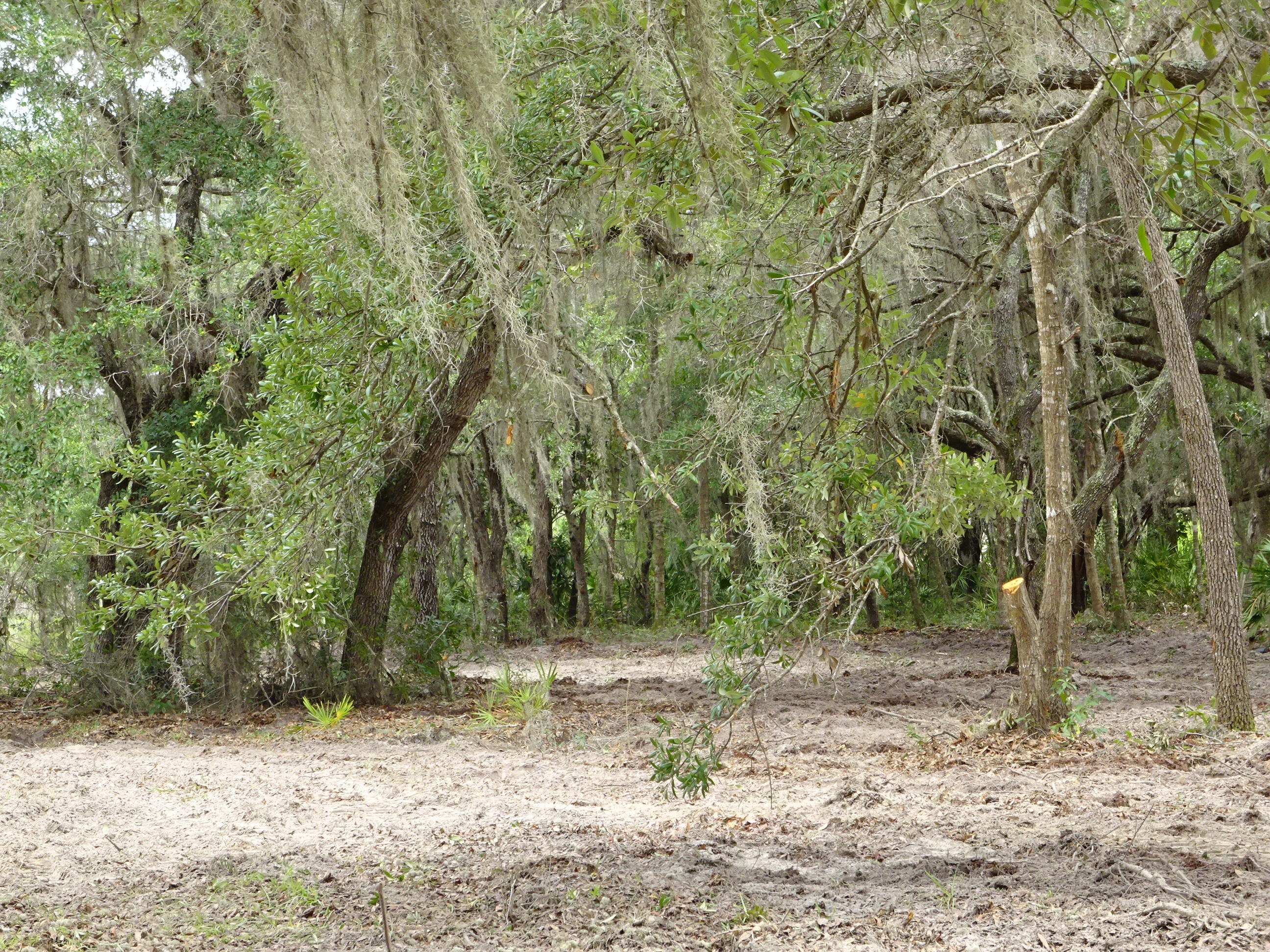 Rainbow Lakes Estates - Land