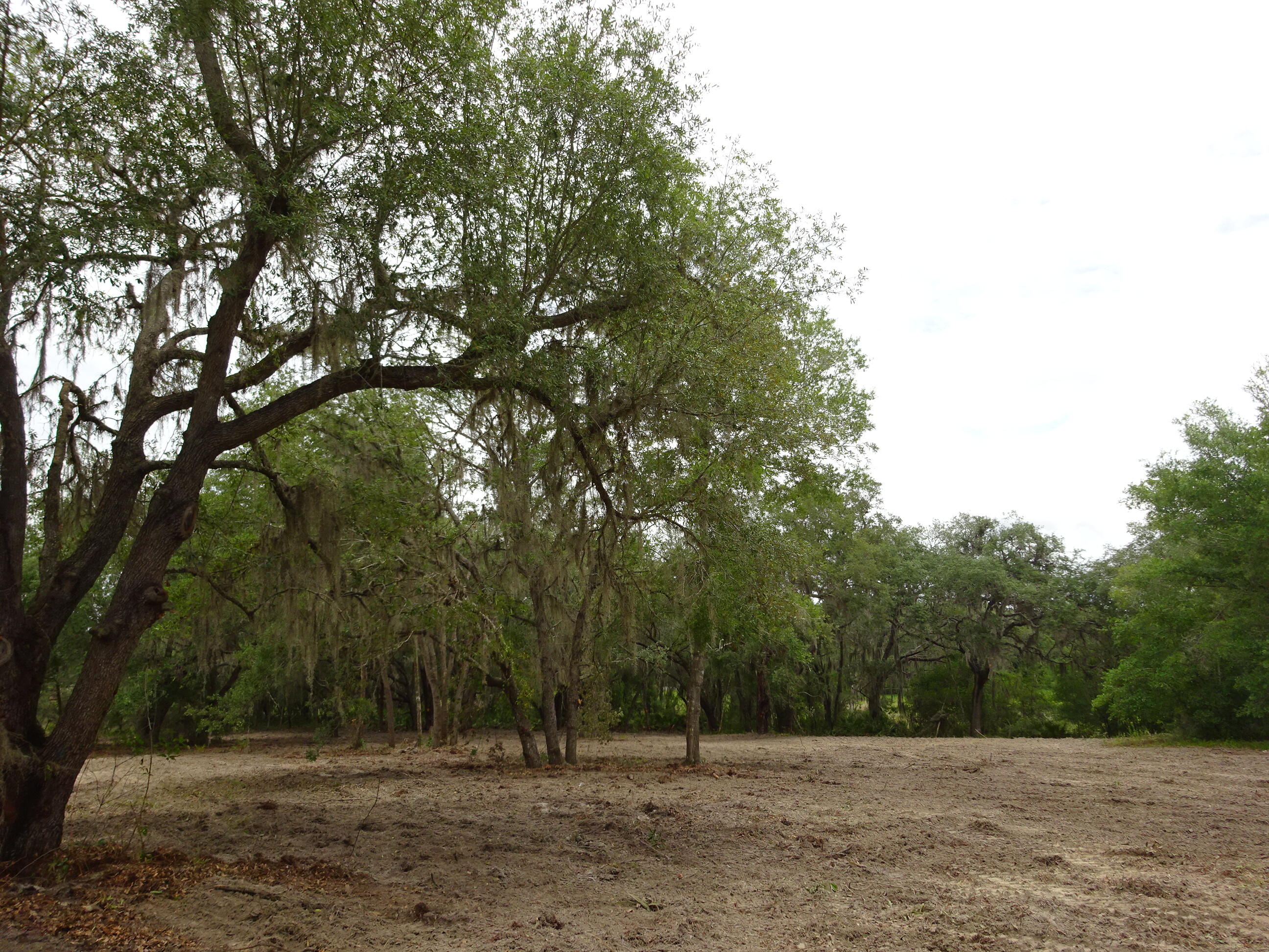 Rainbow Lakes Estates - Land