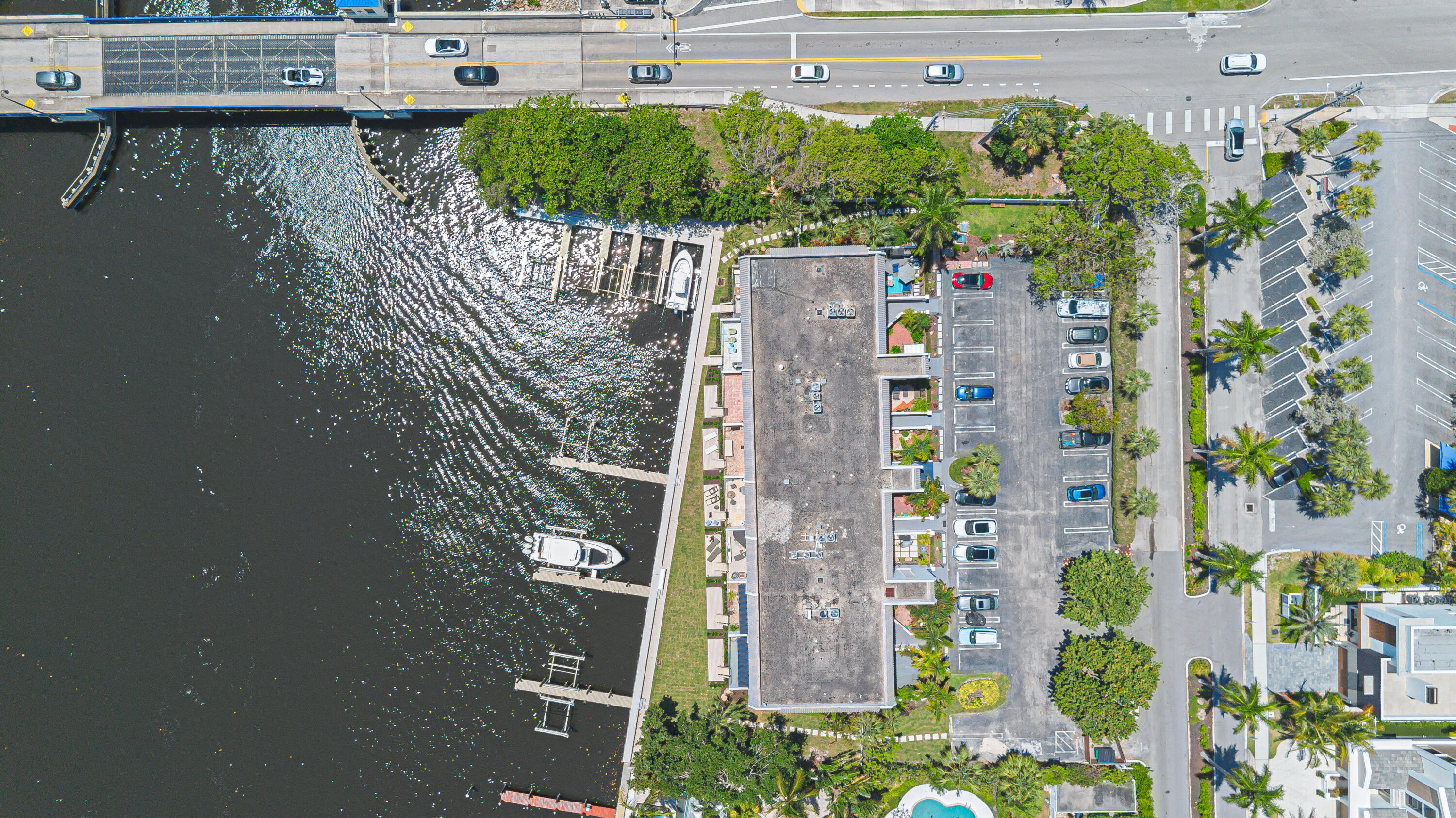 PALM TRAIL PLACE CONDO - Residential