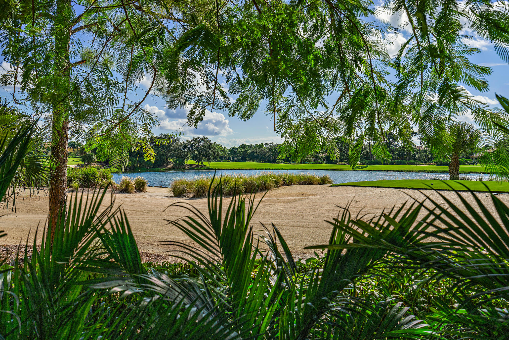 OLD PALM 4 - Residential