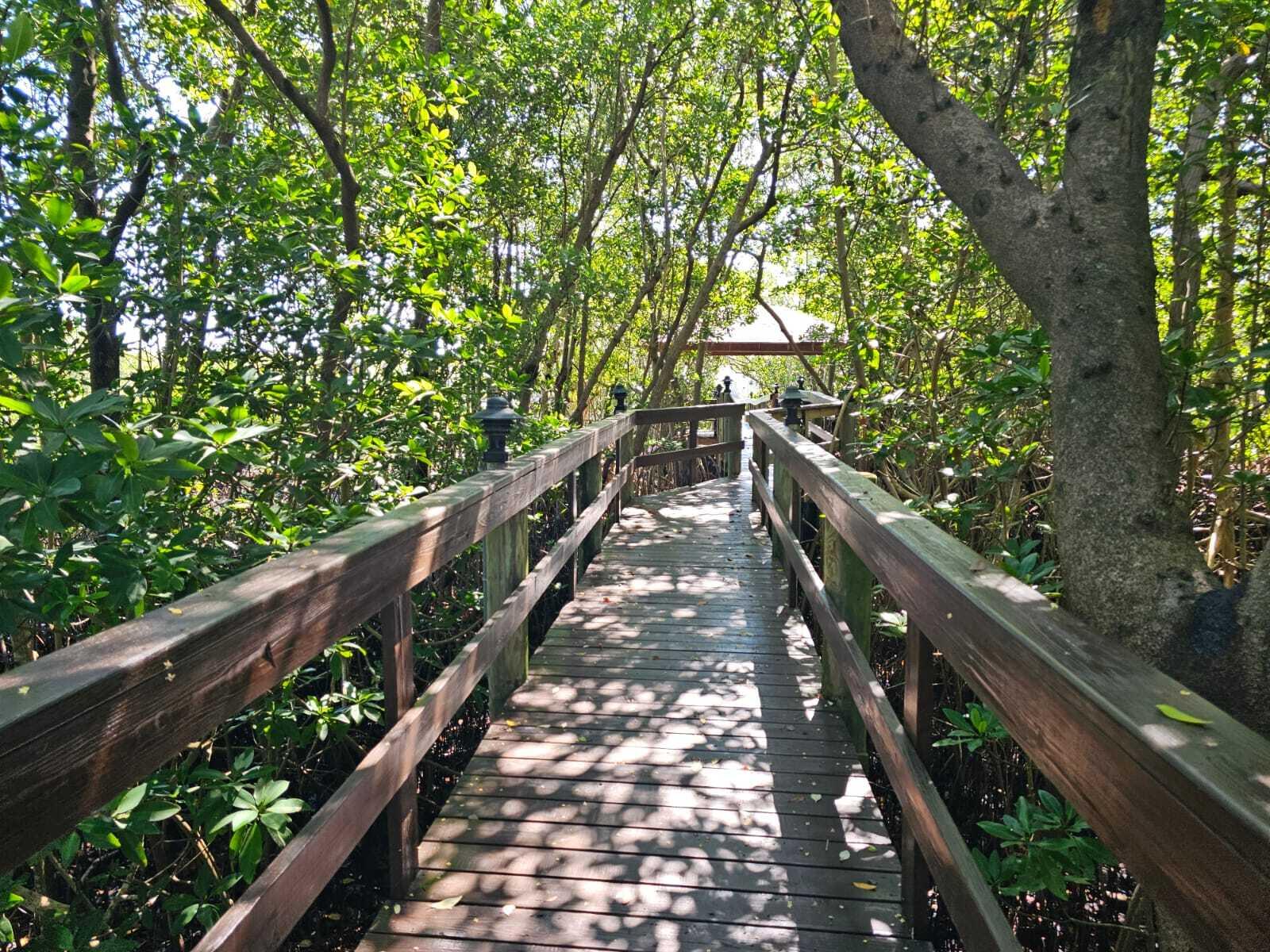 PILOTS COVE - Residential