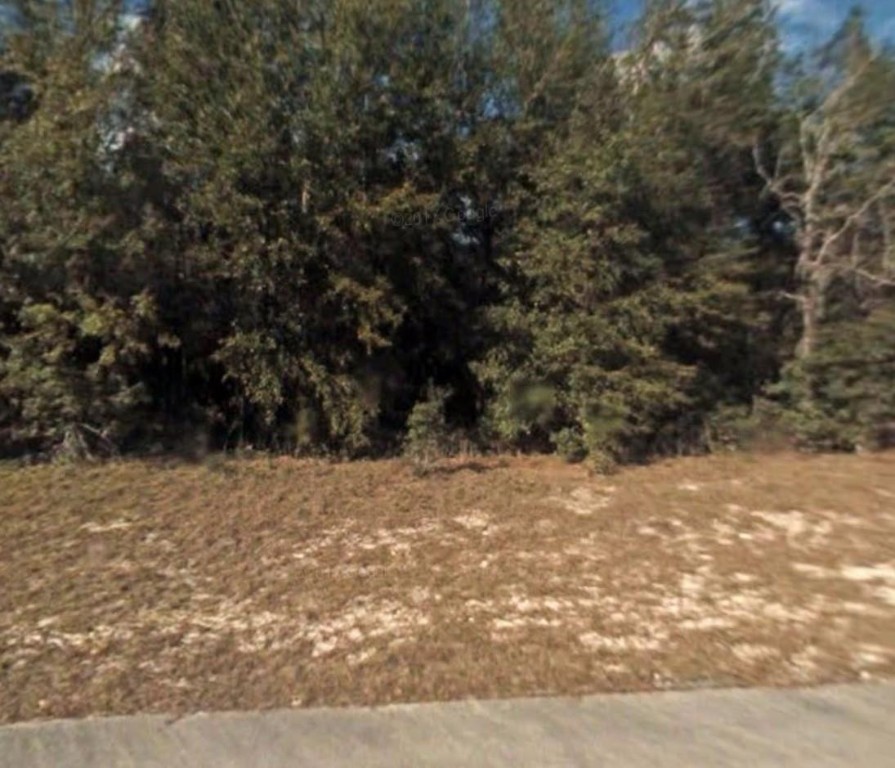 Marion Oaks - Land