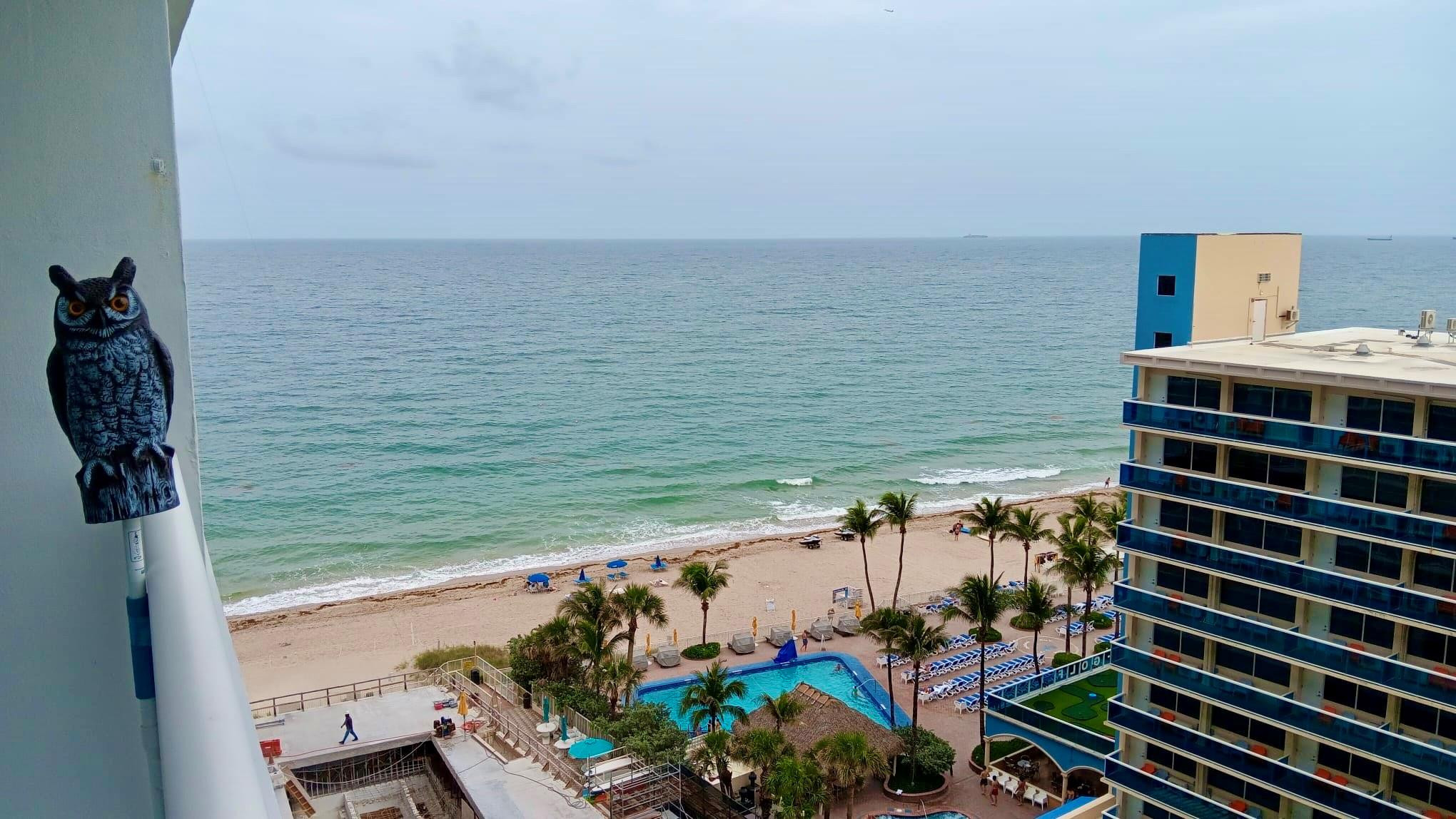 THE GALLEON CONDO - Residential