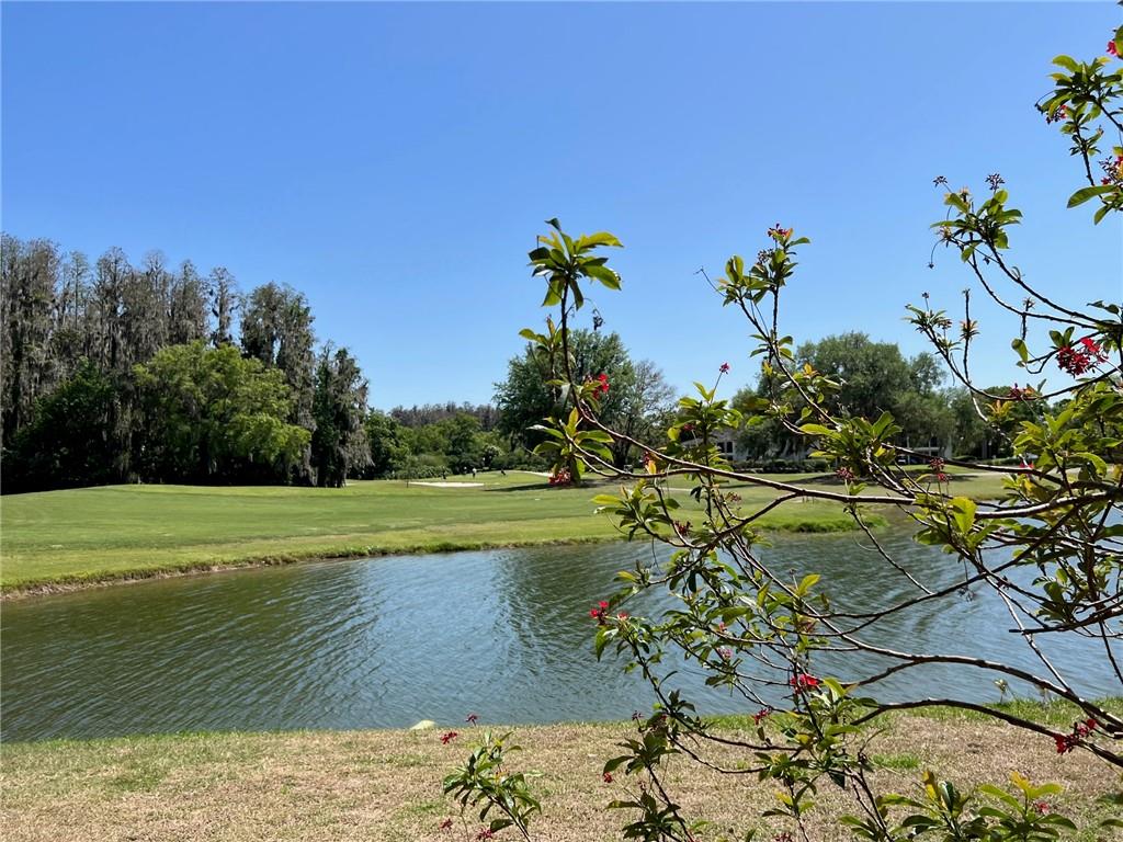 Saddlebrook condo - Residential