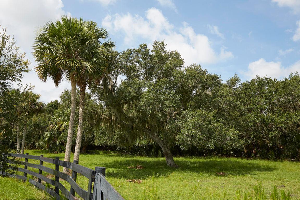 MARTIN COUNTY RANCH COMMUNITY - Land