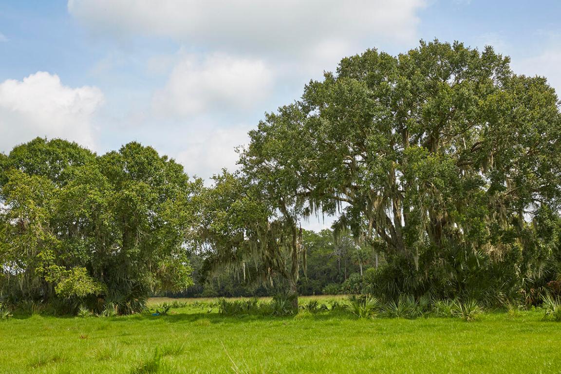 MARTIN COUNTY RANCH COMMUNITY - Land
