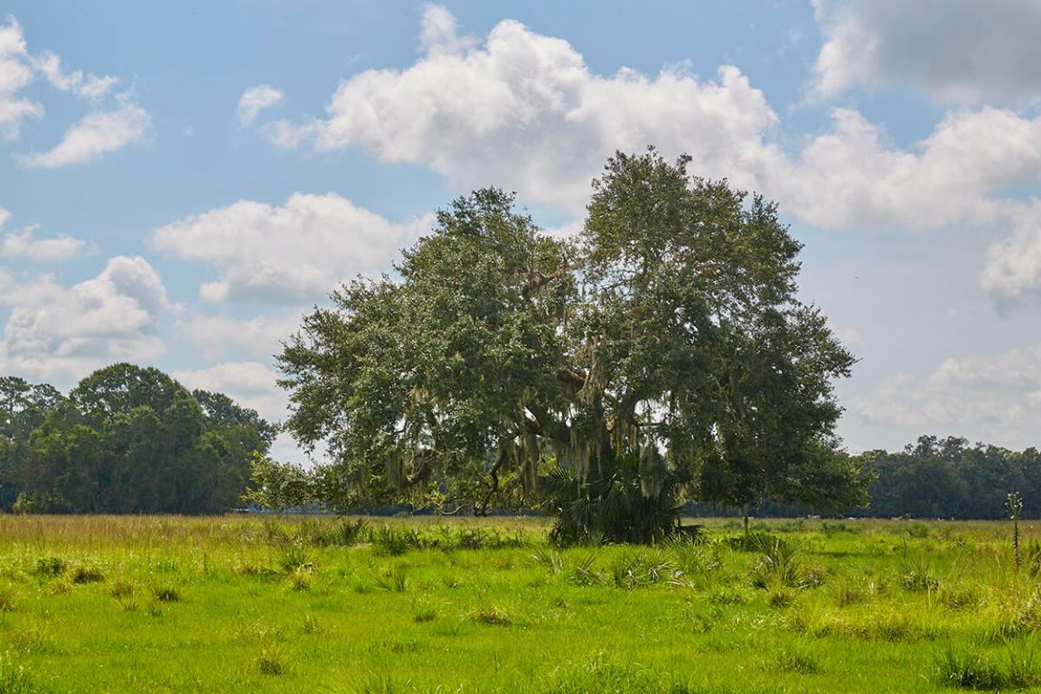 MARTIN COUNTY RANCH COMMUNITY - Land