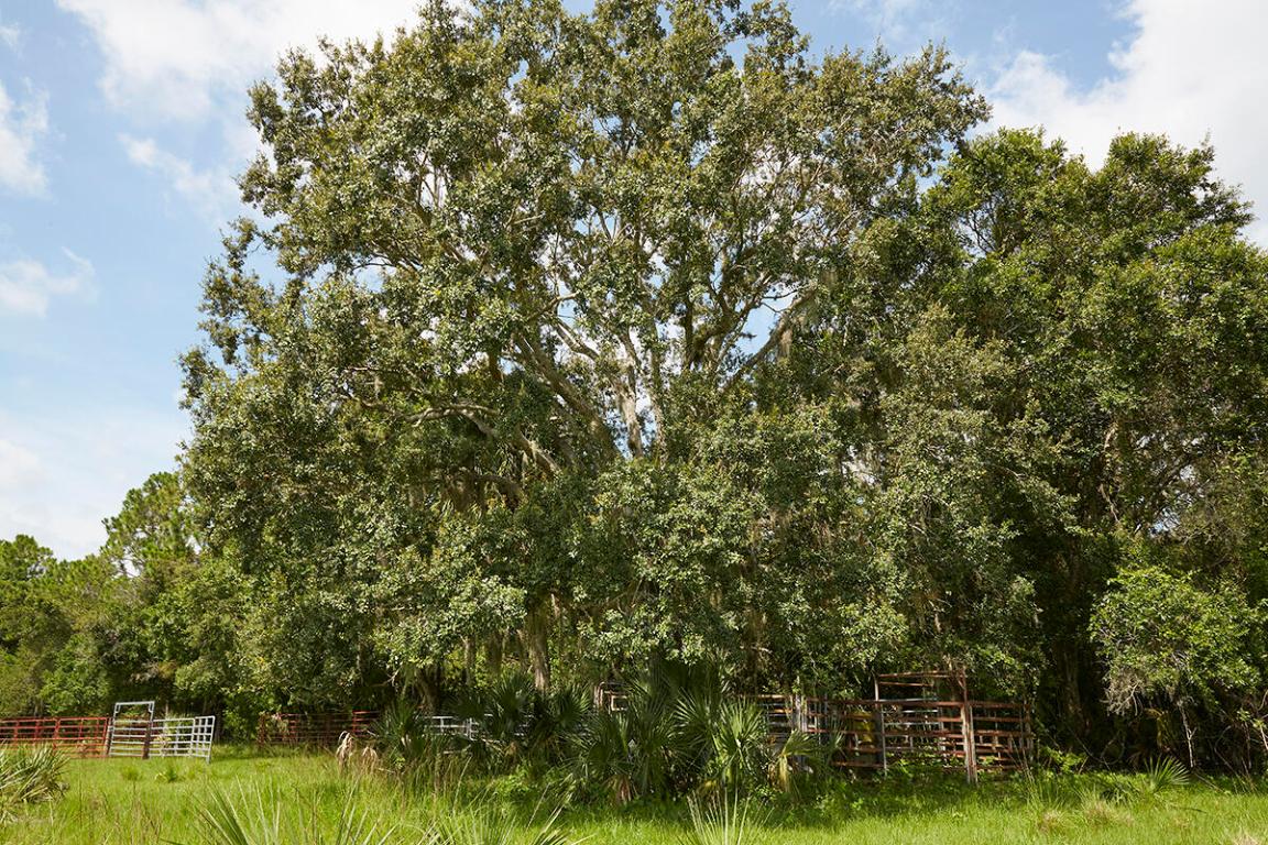 MARTIN COUNTY RANCH COMMUNITY - Land