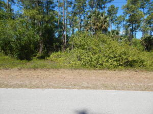 Owner owns 2 more lots in this area and all can be sold as a package or separately. Build your new home in in Lehigh Acres while the prices are still low, there is lots of constructions going on everywhere here.