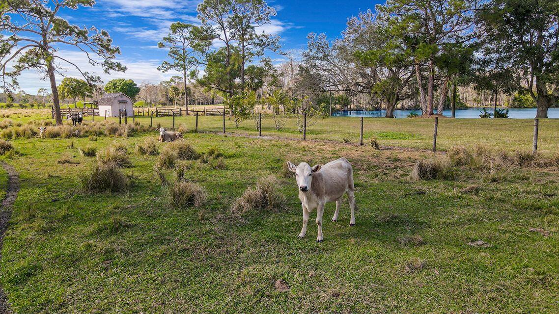 Ranch Estates - Ranch Colony - Land