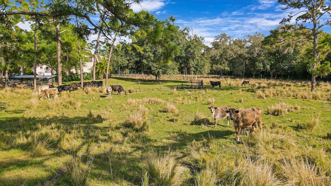 Ranch Estates - Ranch Colony - Land