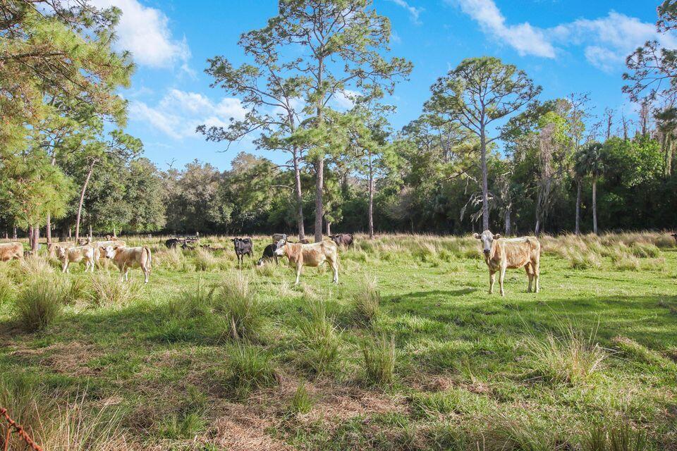Ranch Estates - Ranch Colony - Land