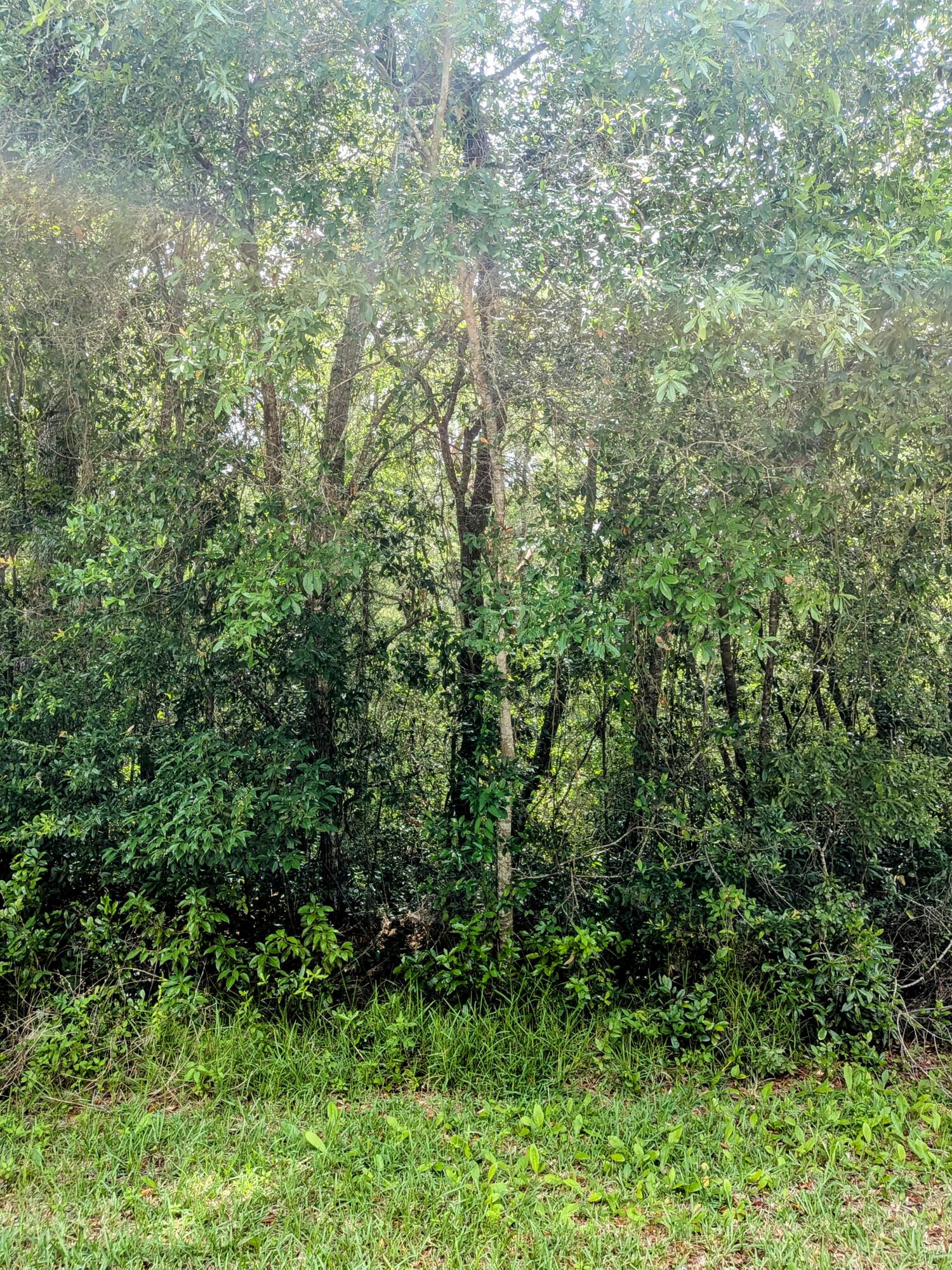 CITRUS SPRINGS UNIT 04 - Land