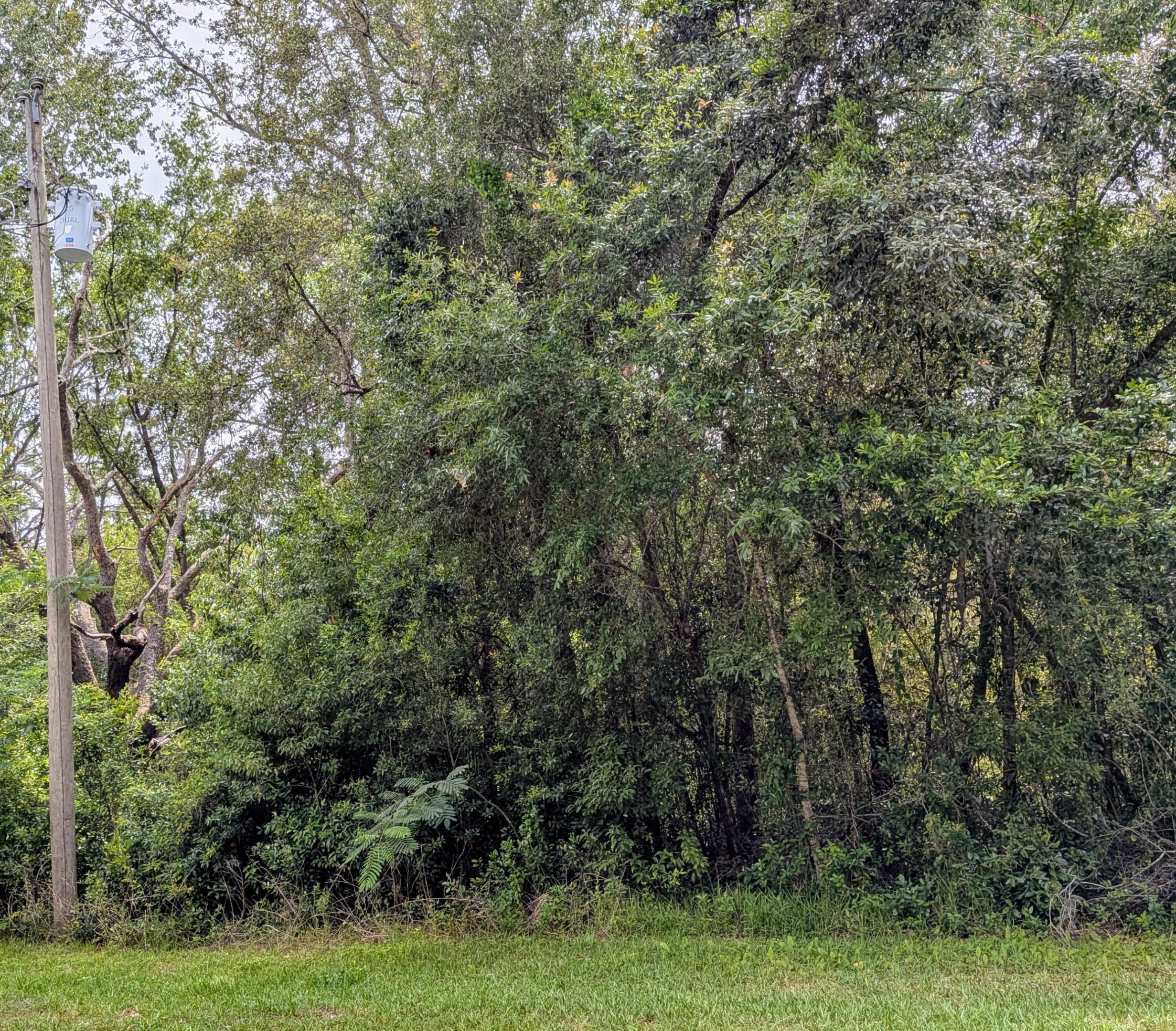 Discover the perfect canvas for your future home on this 10,000 sq ft lot in Citrus Springs! Located right next to another available corner parcel, this lot offers flexibility for buyers looking to build with extra space or invest in a larger footprint. Tucked into a quiet residential area with no HOA, this homesite is minutes from Black Diamond Ranch Golf Club, Rainbow Springs State Park, shopping, and outdoor adventures along Florida's Nature Coast. Seller is open to selling both lots together—a rare opportunity to secure side-by-side properties in this growing community. Build now or hold for future investment!