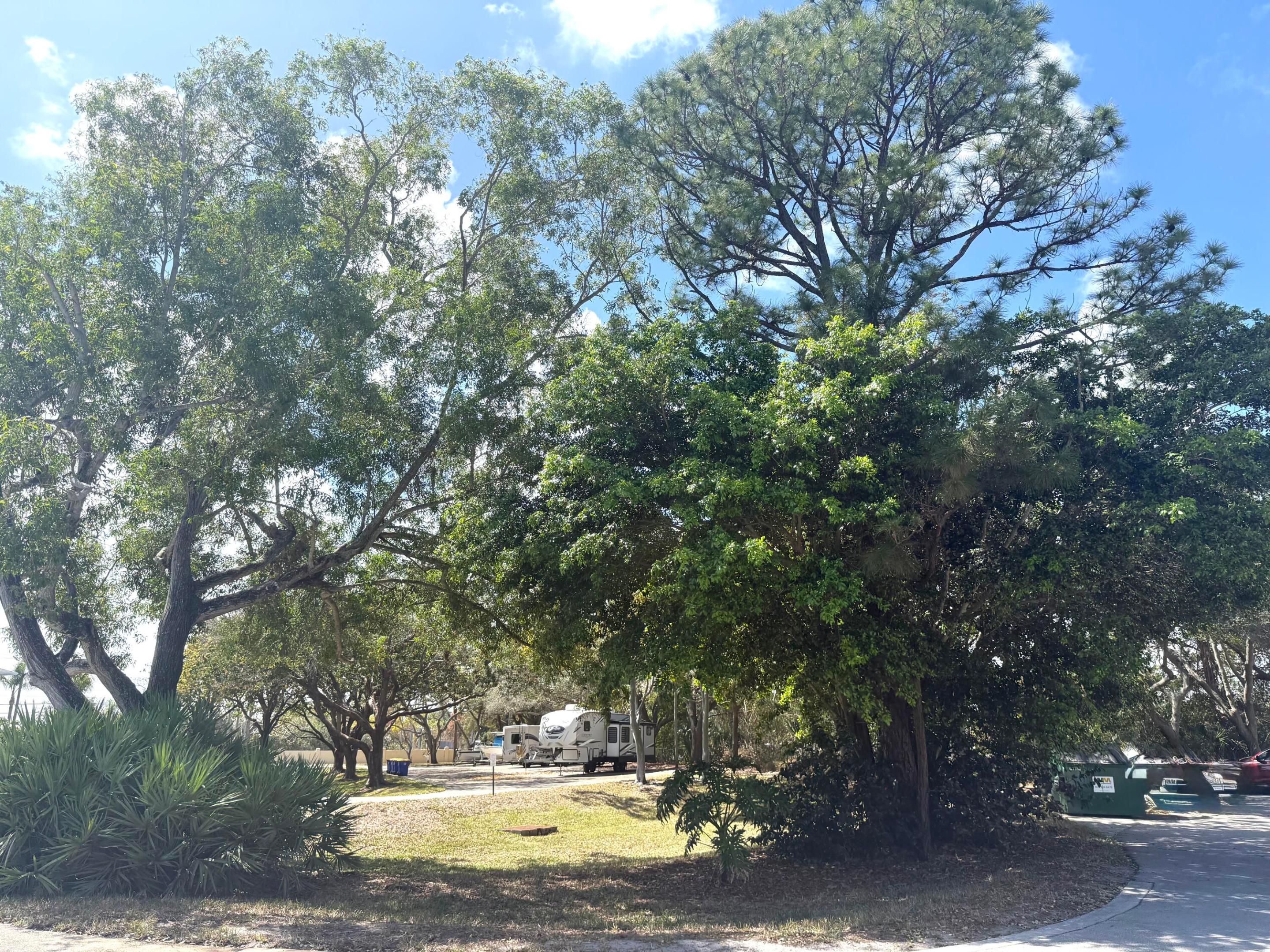 FAIRWAY PALMS CONDO - Residential