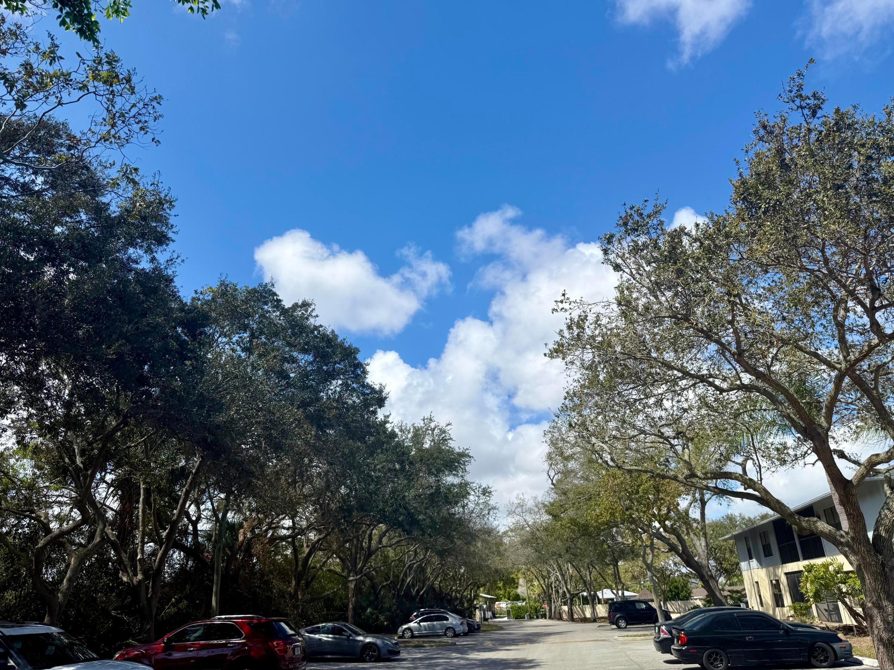 FAIRWAY PALMS CONDO - Residential