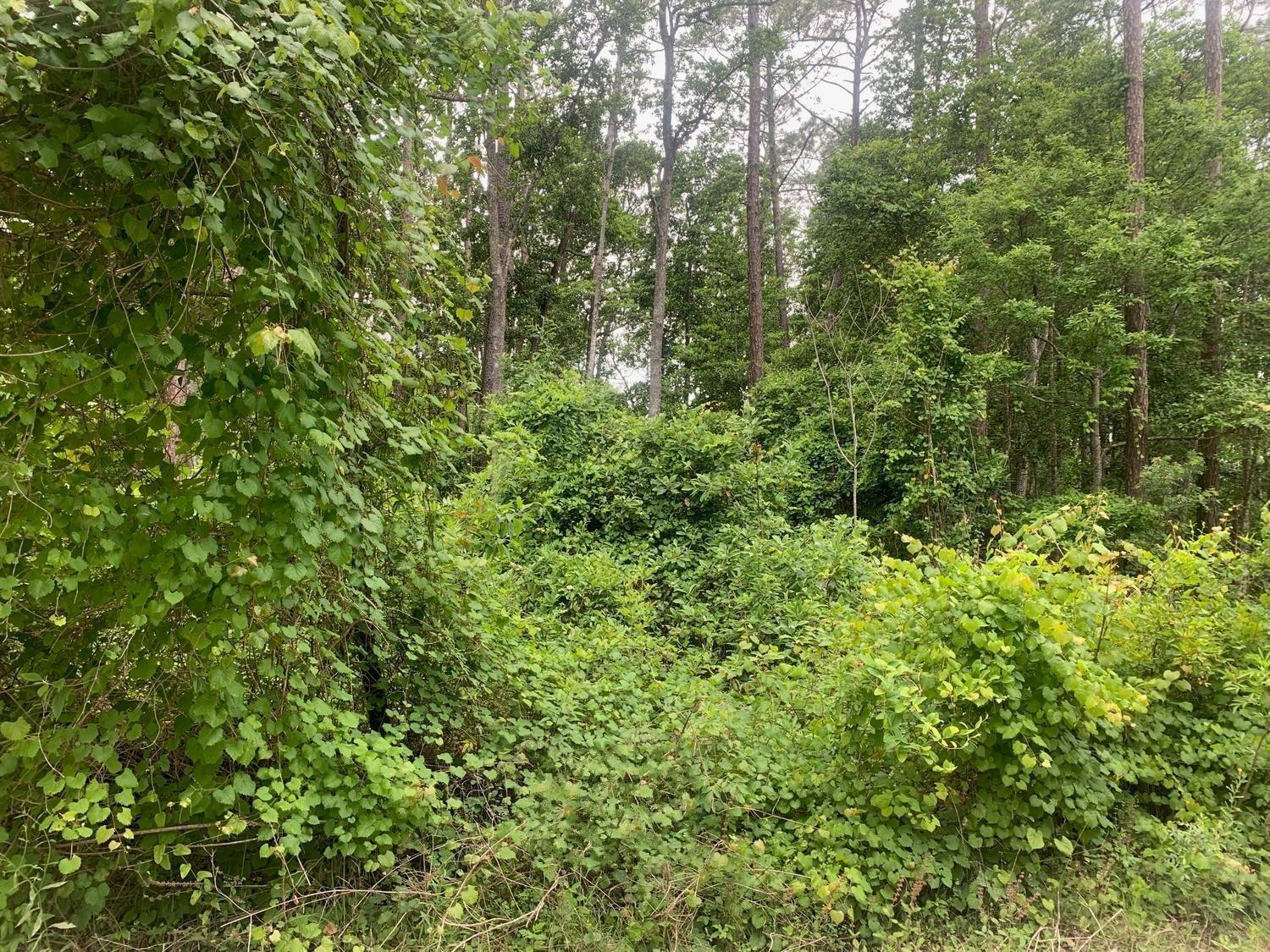 St. John’s Riverside Estates - Land