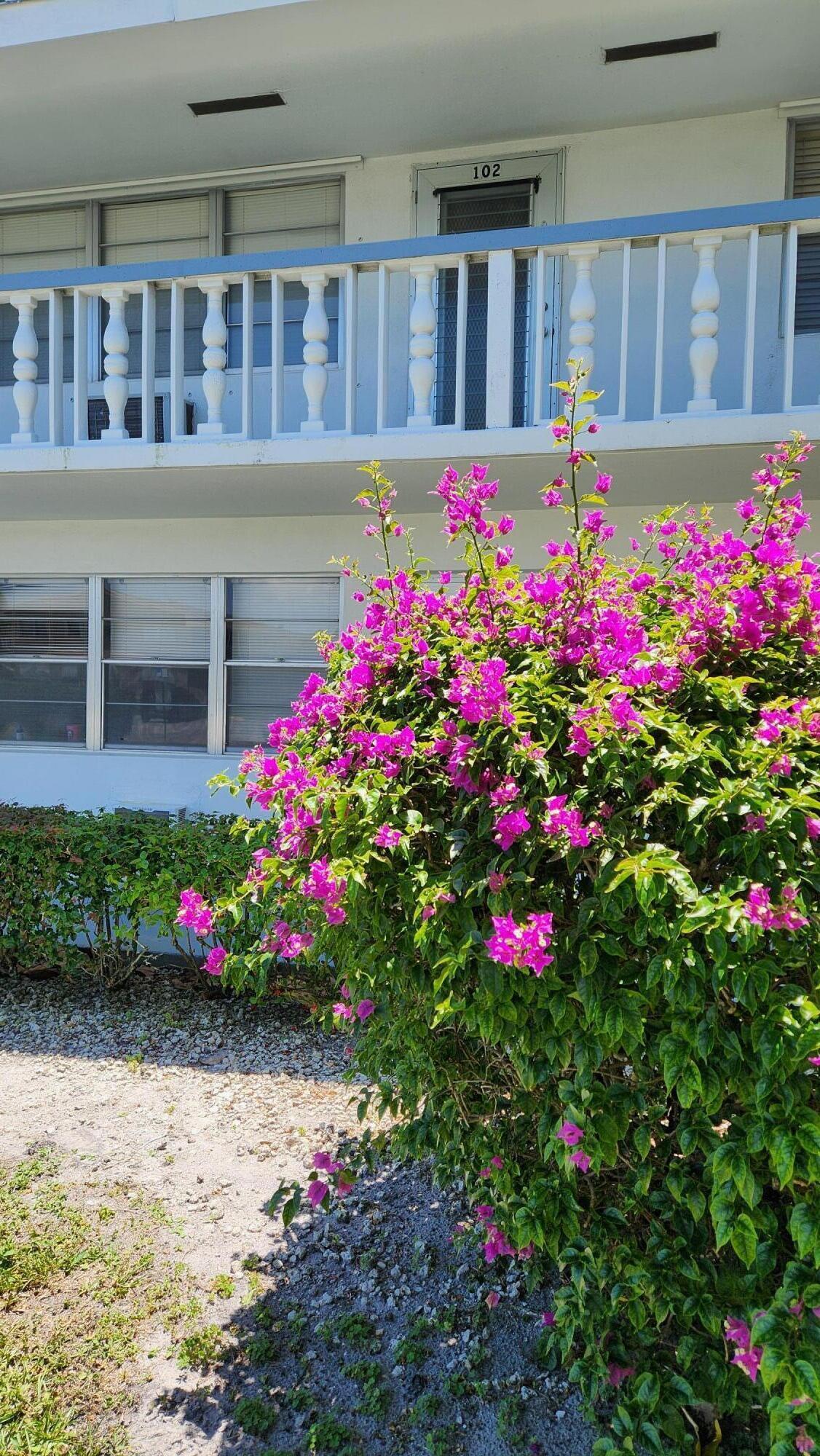 This 2nd floor 1 bedroom, 1 and a half bath, unit has upgraded tile flooring throughout. It is priced to sell in the resort, 55+community of Century Village West Palm Beach. It is investor friendly after your creative renovations and can be rented out after one year of ownership. Century Village requires a  small minimum income. The premier community offers activities, classes, a multimillion dollar clubhouse, theater, movies, free bus service, and has several indoor and outdoor pools and pickle ball. Conveniently located less than 5 miles to Palm Beach island and pristine beaches. A great value and the best kept safe community in the area! Where else can you buy a condo this size for less than 60,000.00! Rents bring more than 1400.00 per month. Call your Realtor agent today for a tour. Note: Specific, verifiable, physician signed, service animals will only be accepted in this building.
