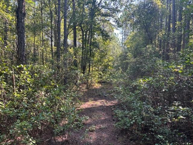 Property adjacent available for purchase. Zoned single familyOwner finance with only $1,500 down