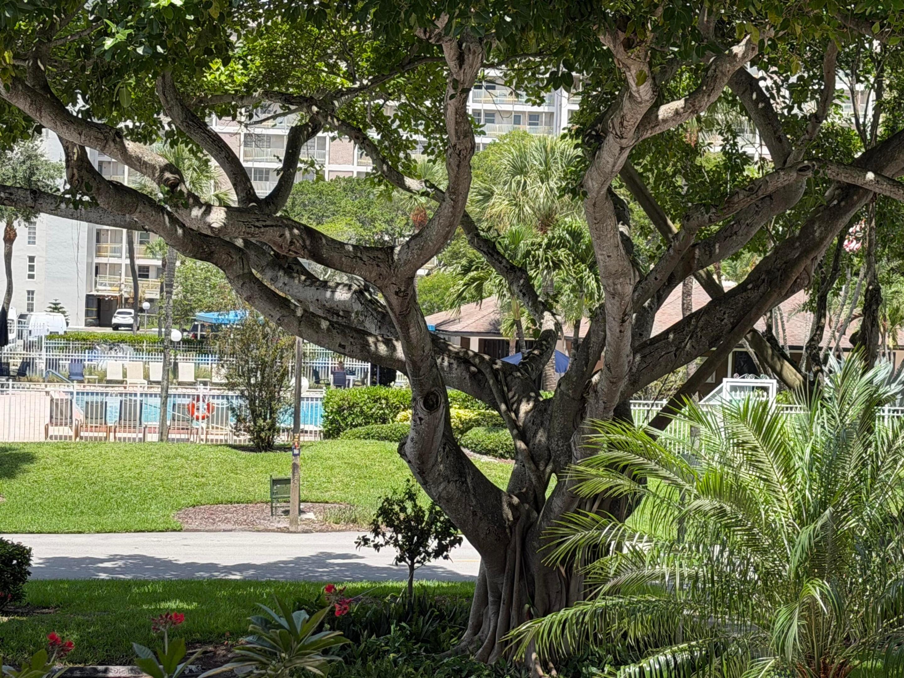 NO 16 PALM-AIRE COUNTRY CLUB - Residential Lease