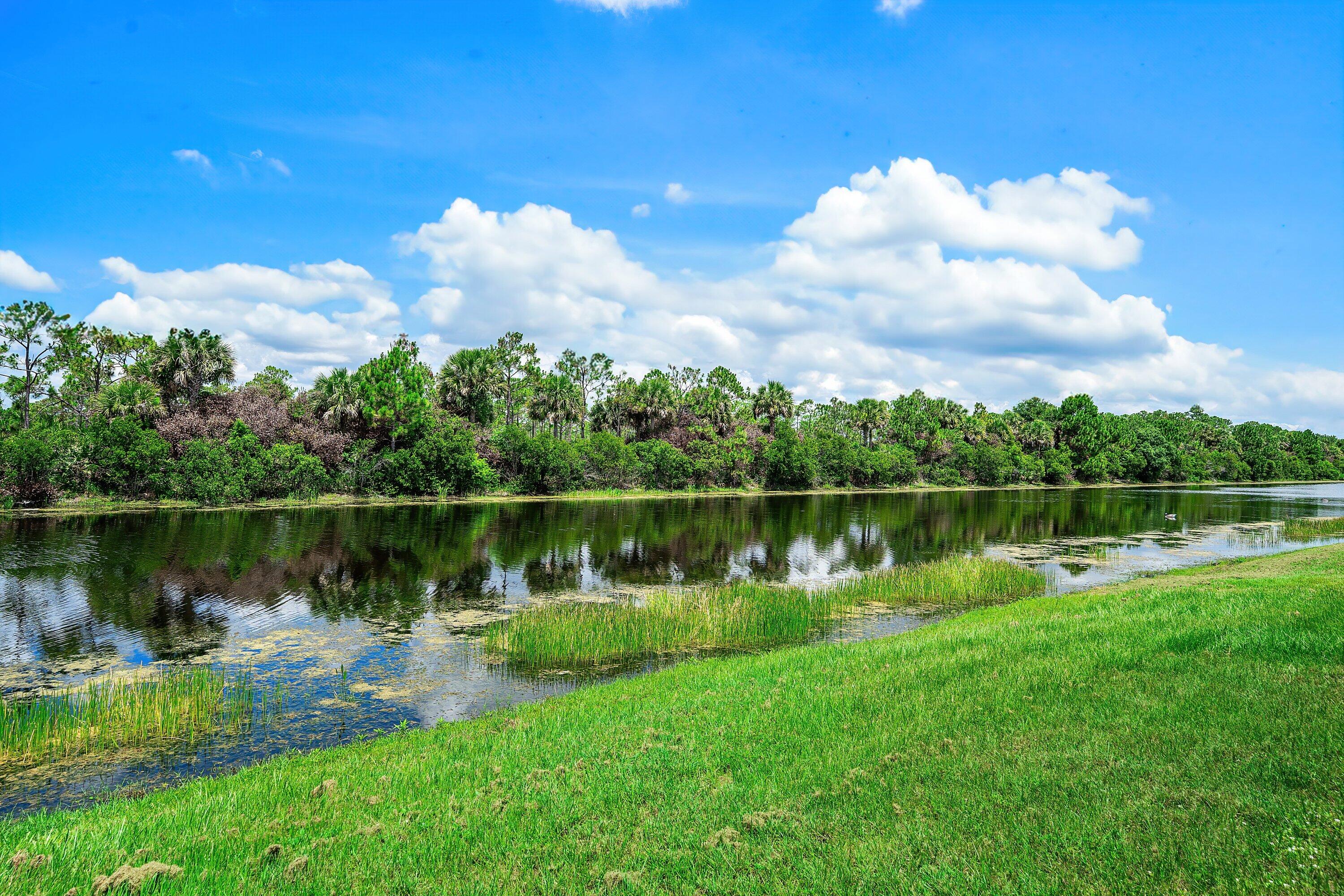 BRIDGEWATER PRESERVE - Residential