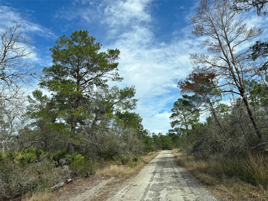 Sebring Lakes - Land