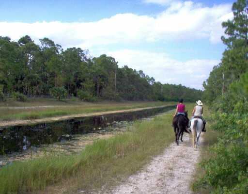 FOX TRAIL - Land