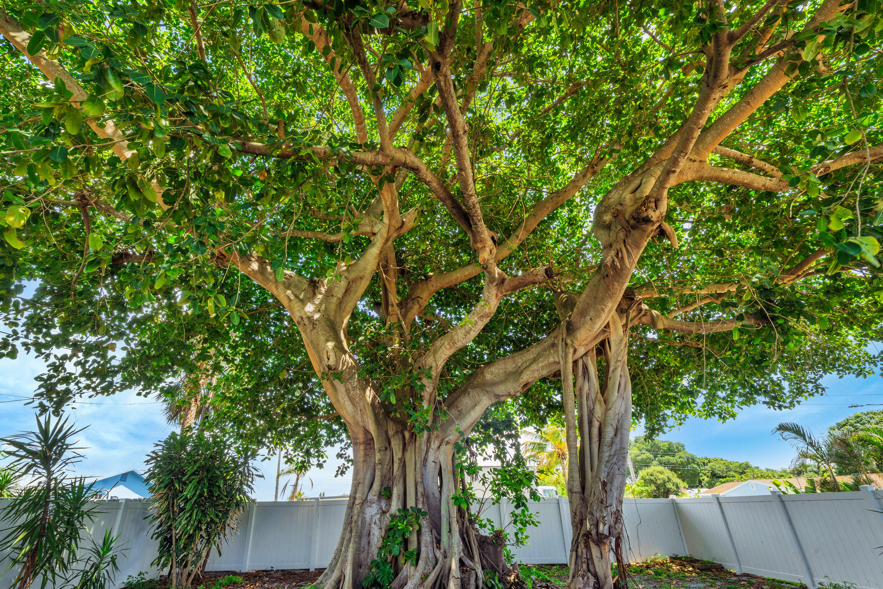 El Monte Park - Residential