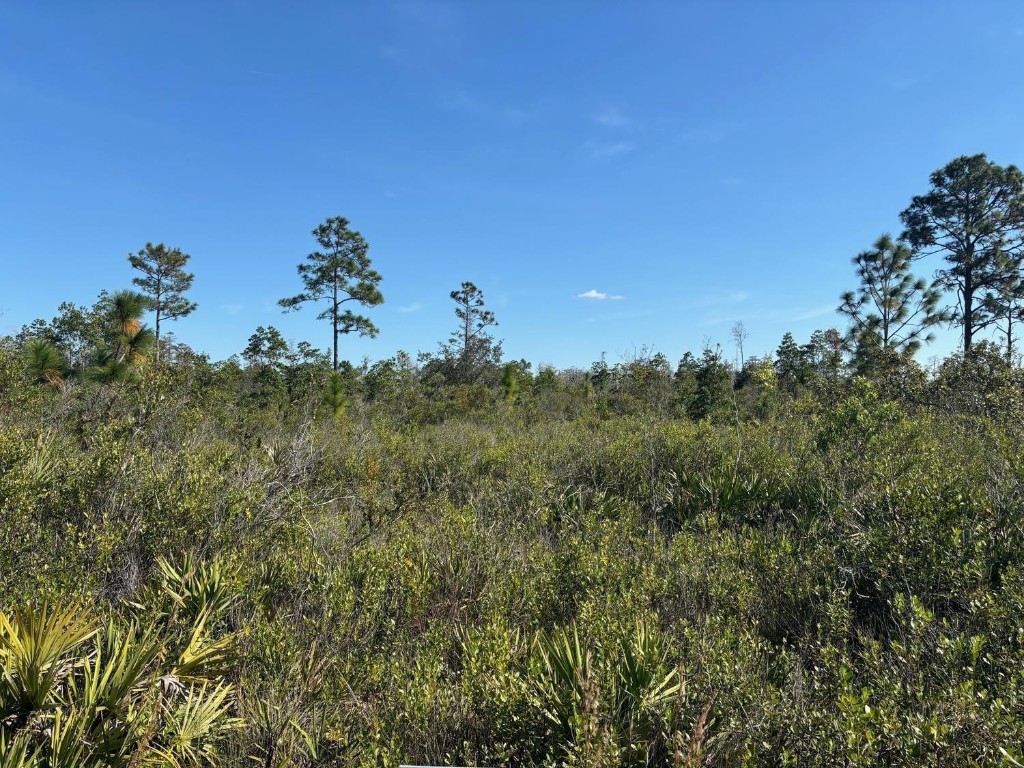 Ride, camp and hunt in Holopaw.Owner financing available
