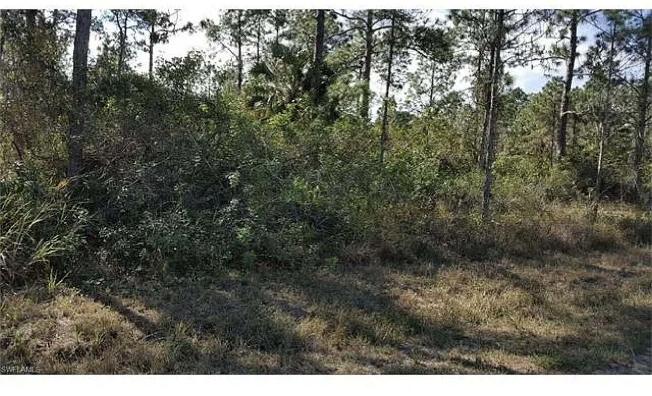 Excellent opportunity to own a vacant residential lot in rapidly developing Lehigh Acres. Ideal for new construction or long-term investment. Convenient access to main roads, shopping, and schools. No HOA. Buyer/ buyers agent responsible for verifying zoning, utilities, and land use. Buyer is responsible for all due diligence including zoning, utilities, and land use verification. No HOA. Please verify access and road conditions. Lot dimensions and boundaries to be confirmed by buyer. Use caution when visiting site.