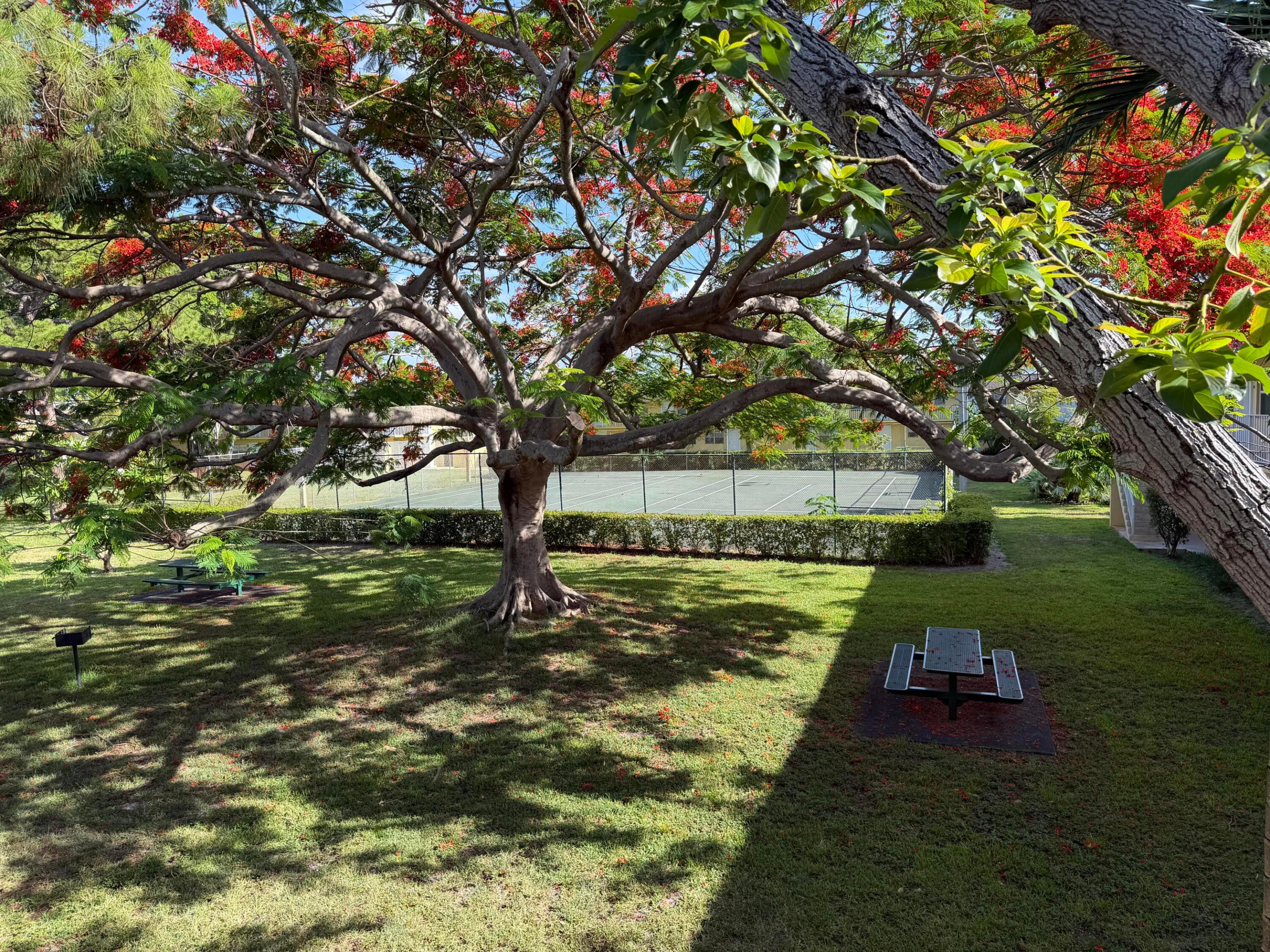 VILLAGE PARK AT OAKLAND CONDO - Residential Lease