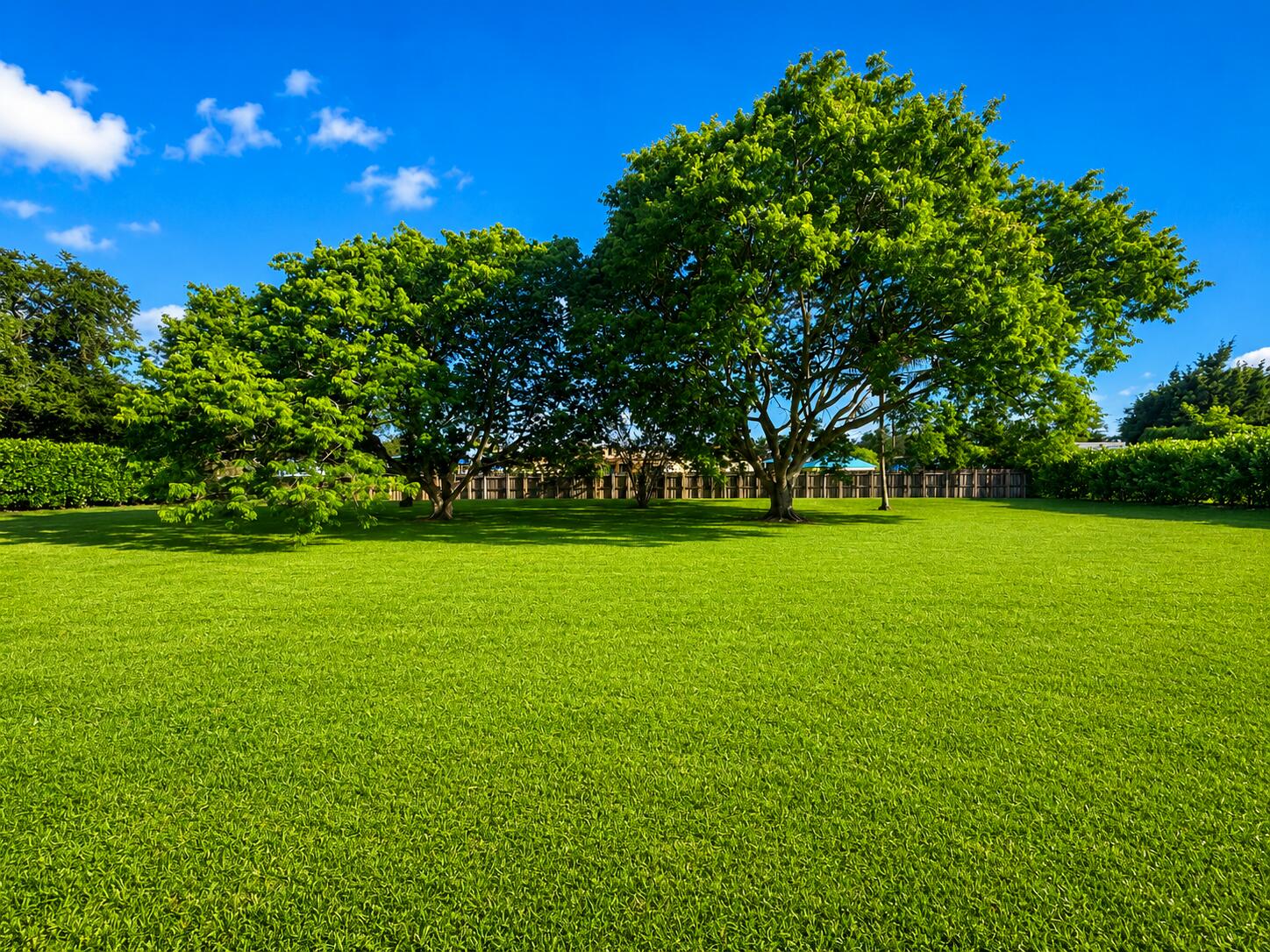 FLA FRUIT LANDS CO SUB NO 1 - Residential